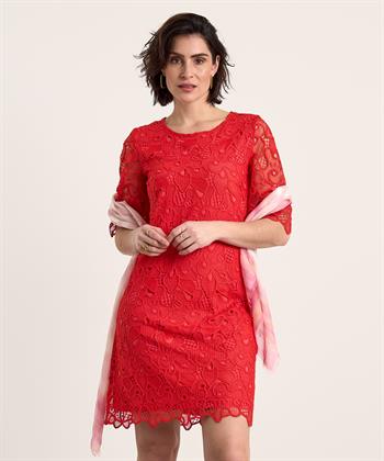 Ana Alcazar Kleid Spitze
