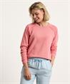 Hartford Sweater