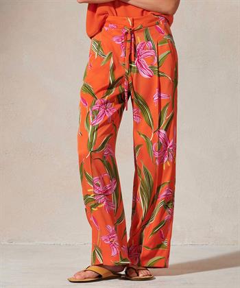 Luisa Cerano Hose Lilieprint
