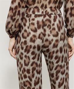 Luisa Cerano Palazzo-Hose Panther